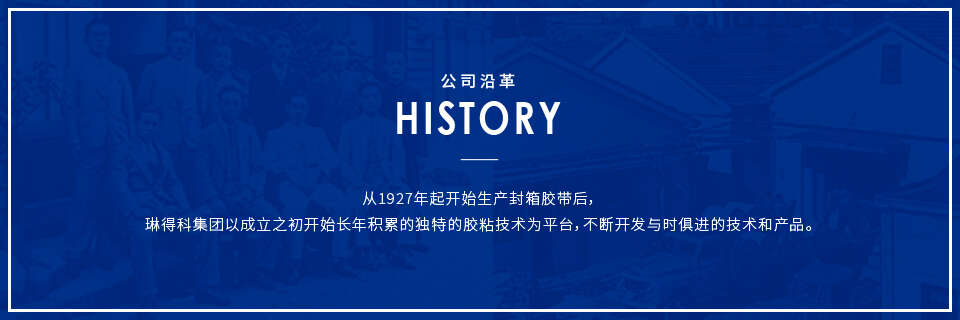發(fā)展歷程